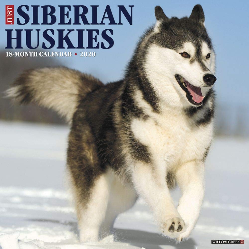 Just Siberian Huskies 2020 Calendar Pets