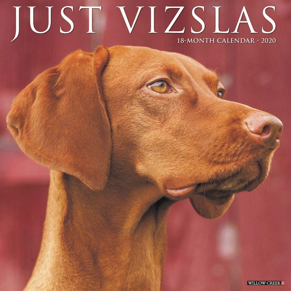 Just Vizslas 2020 Calendar Pets
