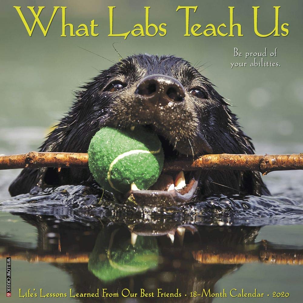 What Labs Teach Us 2020 Calendar: Life's Lessons Learned from Our Best Friends Pets