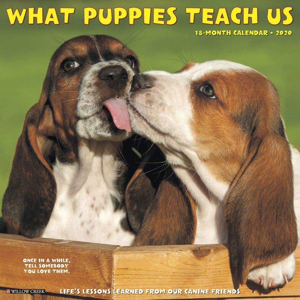 What Puppies Teach Us 2020 Wall Calendar Pets