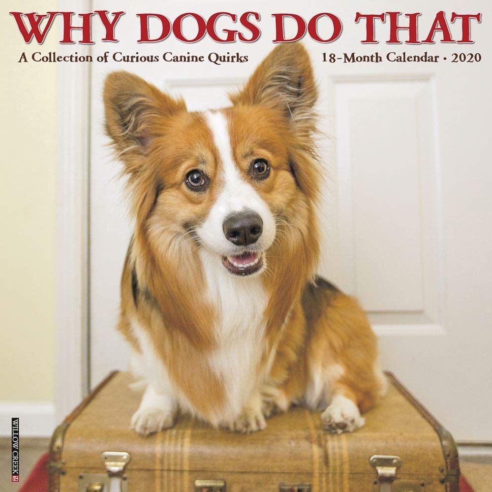 Why Dogs Do That 2020 Calendar: A Collection of Curious Canine Quirks Pets