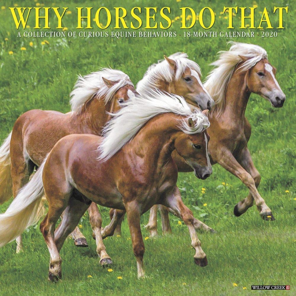 Why Horses Do That 2020 Calendar: A Collection of Curious Equine Behaviors Pets