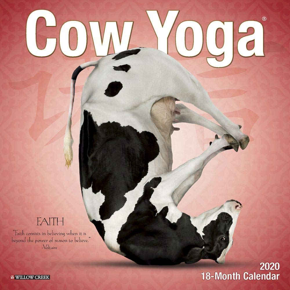 Cow Yoga 2020 Calendar Mathematics