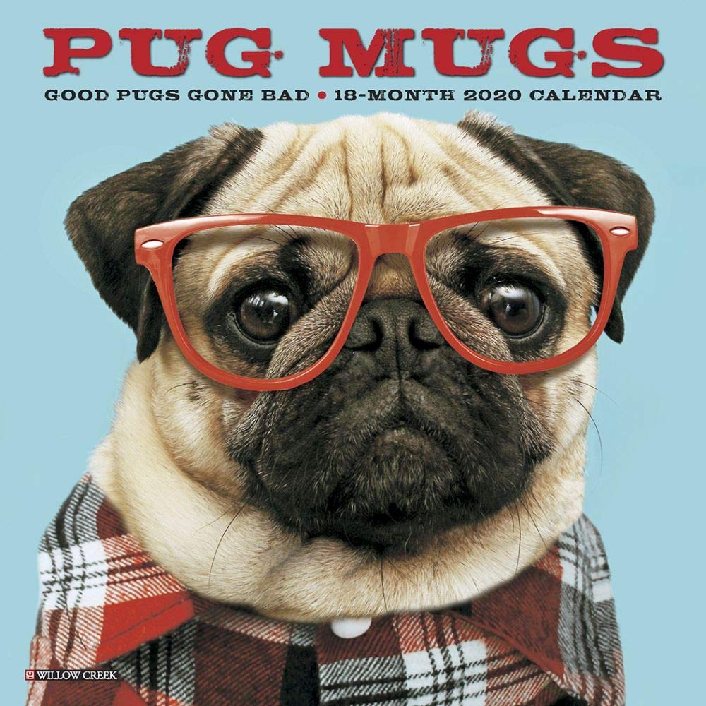 Pug Mugs 2020 Calendar: Good Pugs Gone Bad Pets
