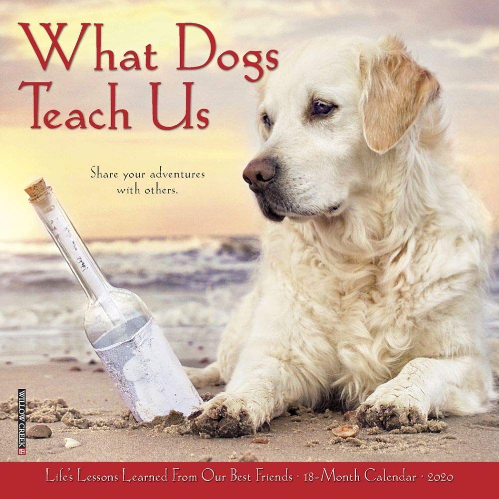 What Dogs Teach Us 2020 Calendar Pets