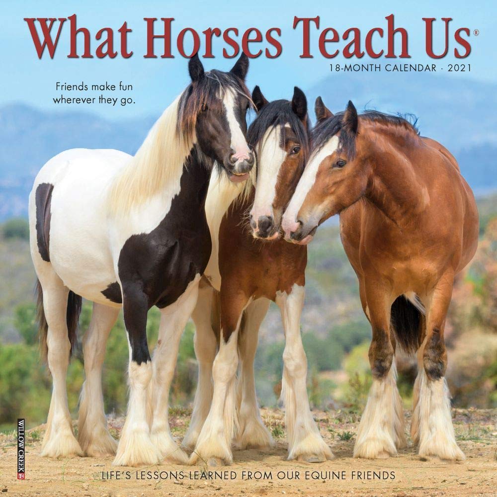 What Horses Teach Us 2020 Calendar Pets