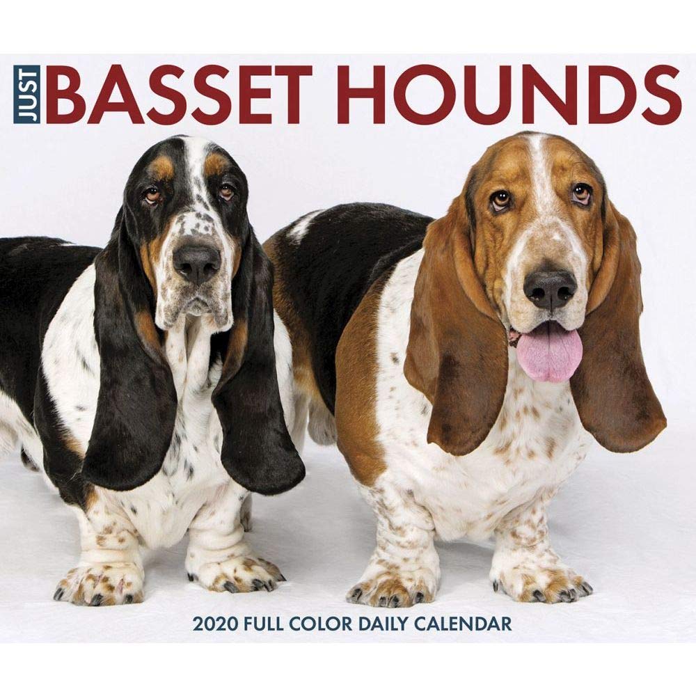 Just Basset Hounds 2020 Box Calendar (Dog Breed Calendar) Pets