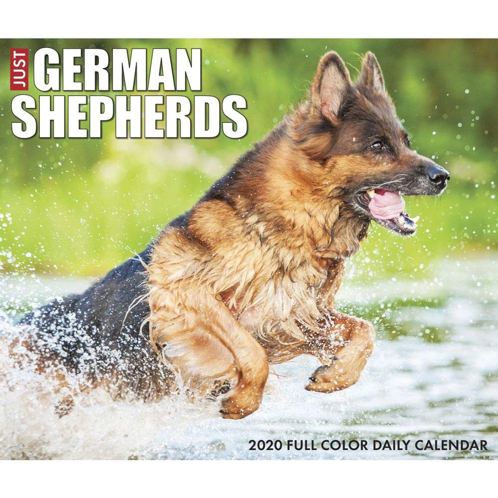 Just German Shepherds 2020 Box Calendar (Dog Breed Calendar) Pets