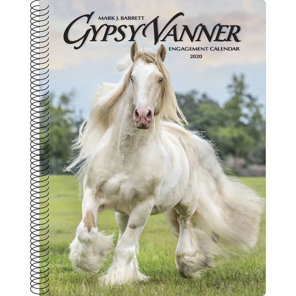 Gypsy Vanner Horse 2020 Calendar Pets