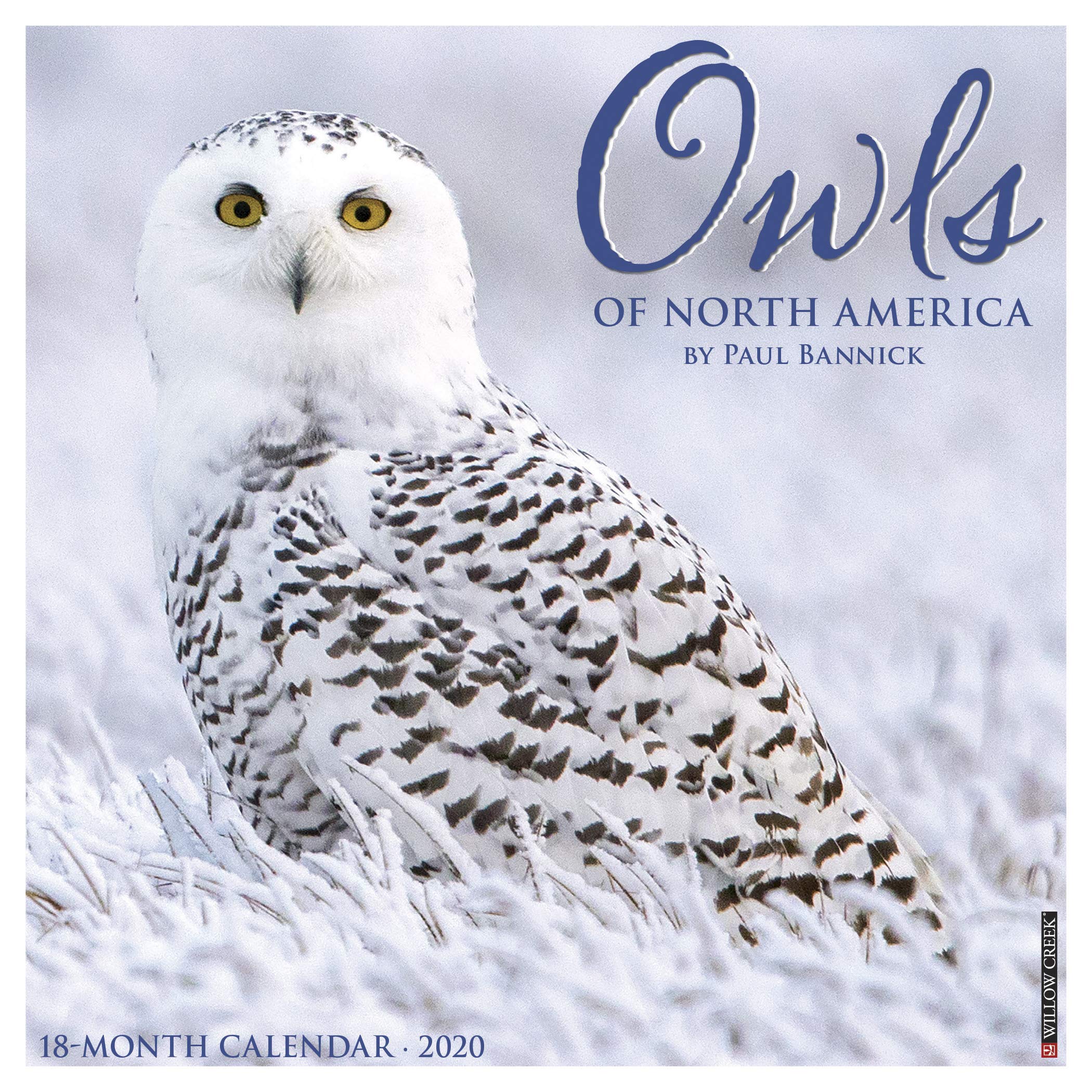 Owls of North America Mini Wall Calendar Mathematics