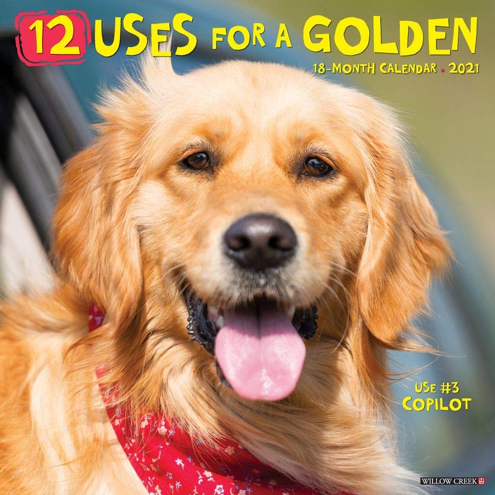 12 Uses for a Golden 2021 Calendar Pets