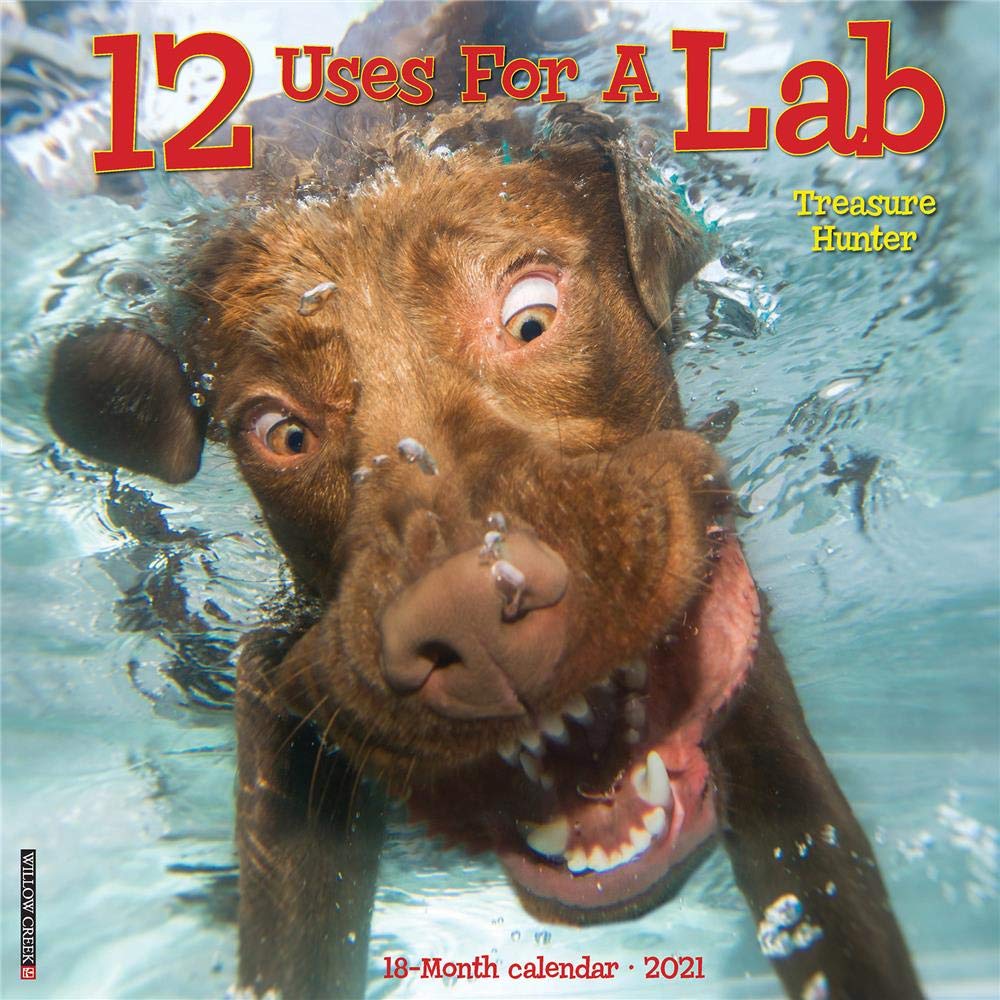 12 Uses for a Lab 2021 Wall Calendar (Dog Breed Calendar) Pets