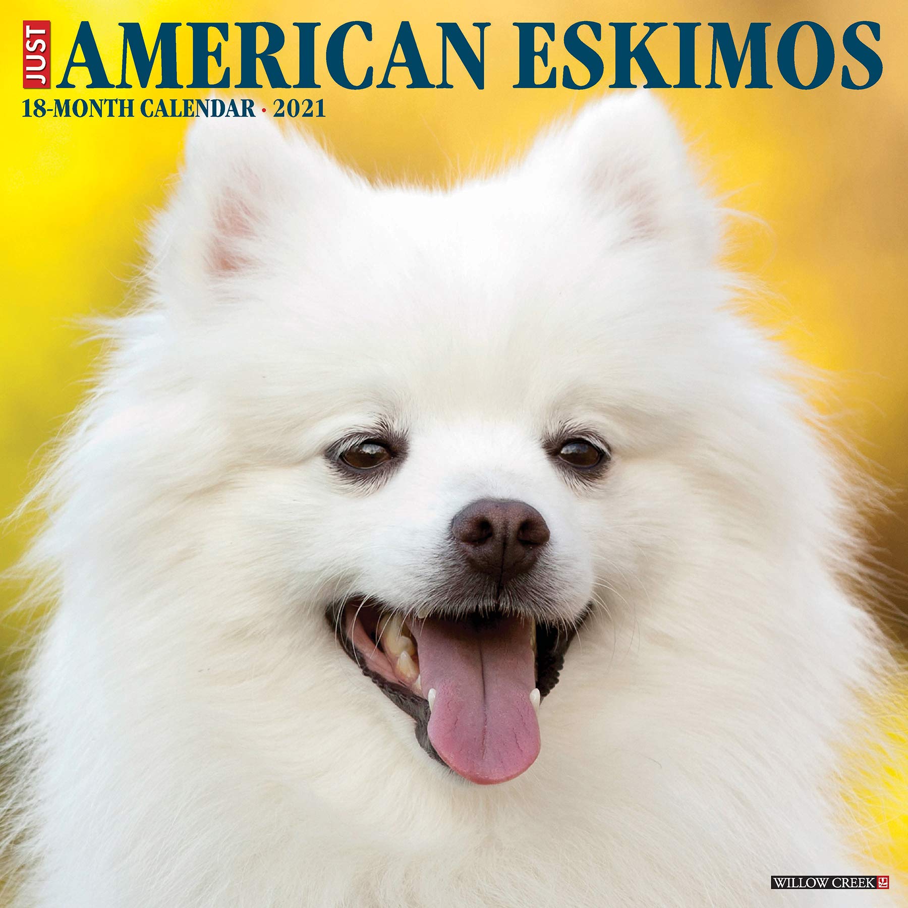 American Eskimos 2021 Calendar Pets
