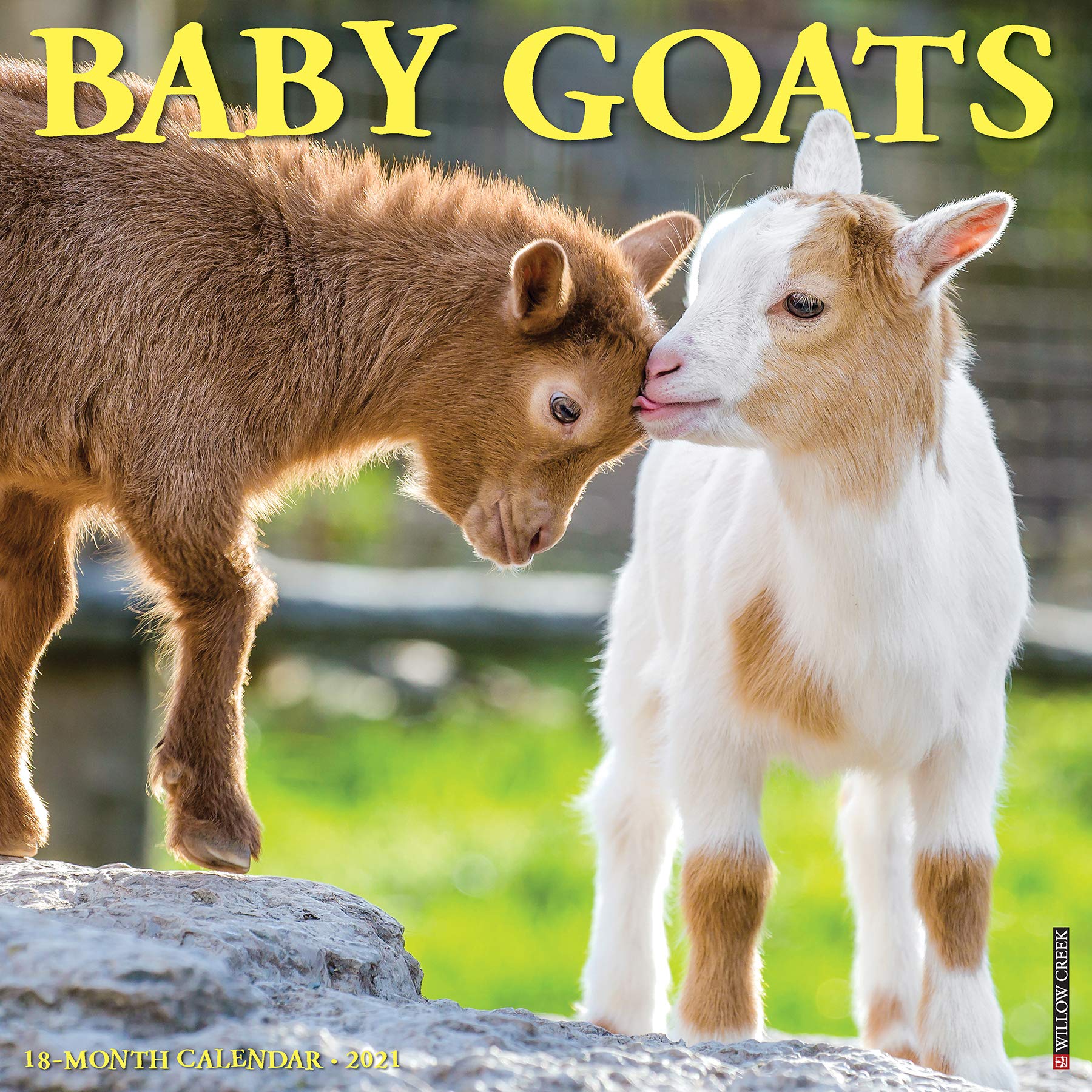 Baby Goats 2021 Wall Calendar Mathematics