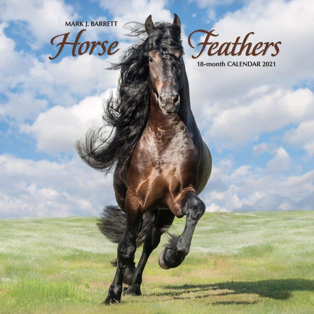 Horse Feathers 2021 Calendar Pets