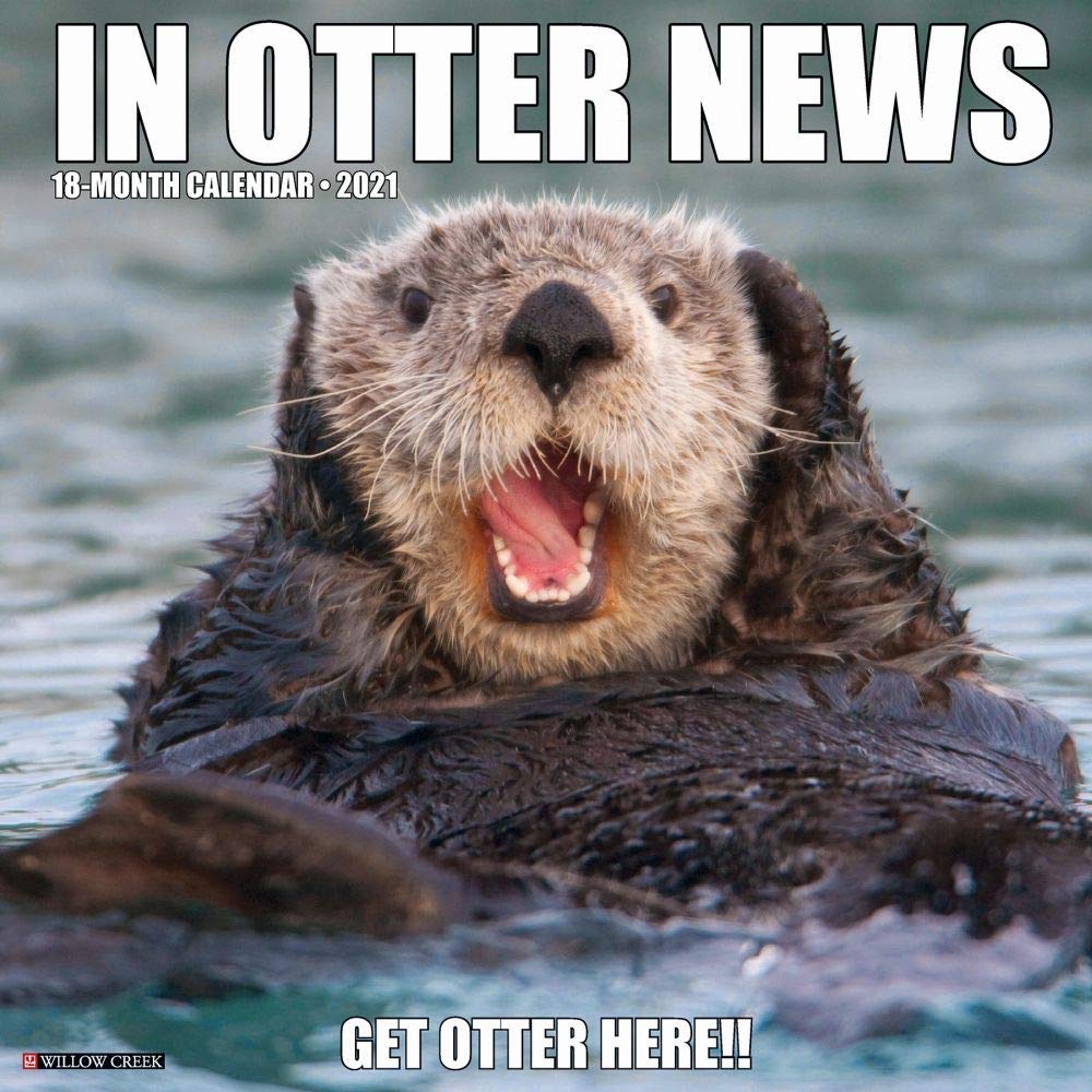In Otter News 2021 Calendar Calendars