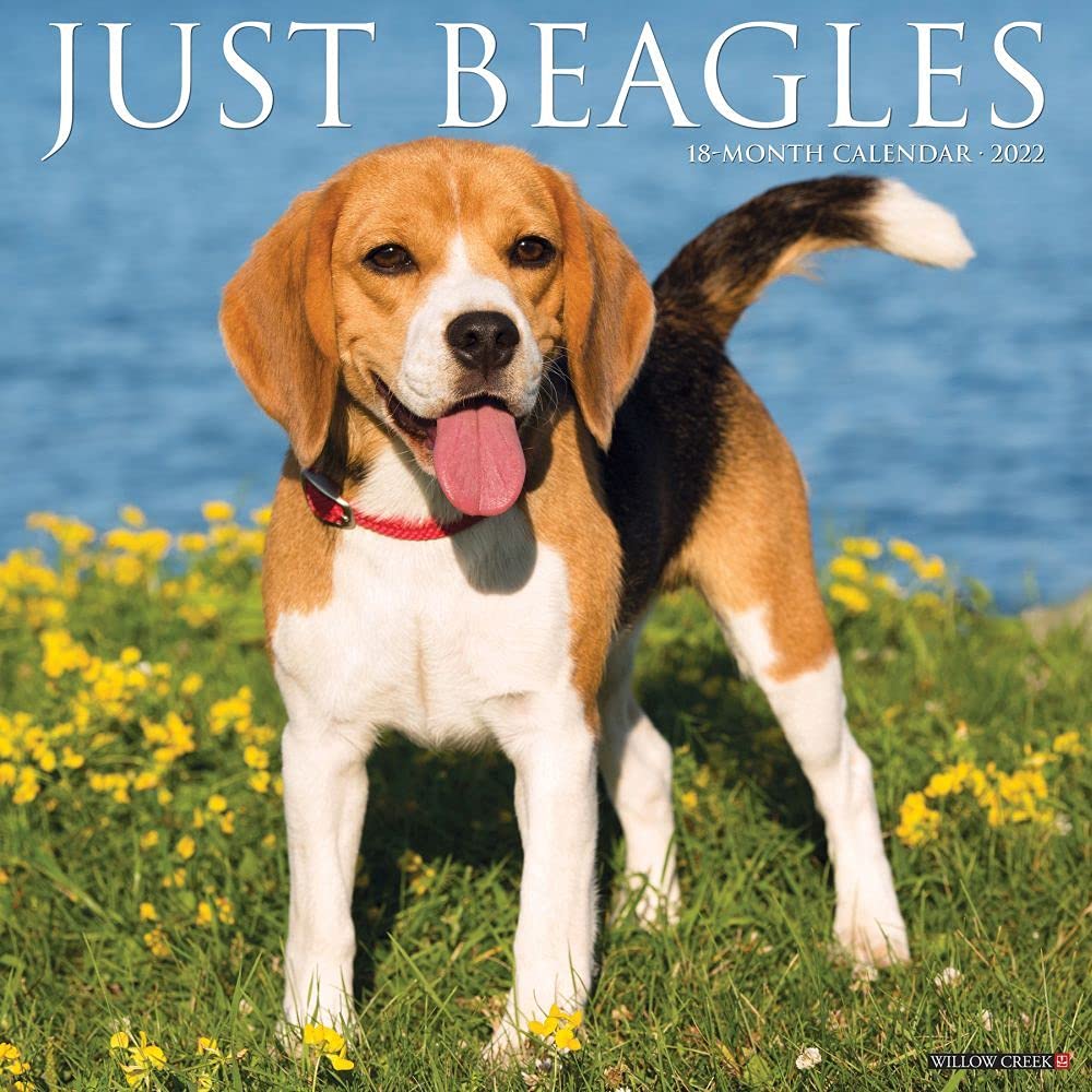 Just Beagles 2022 Wall Calendar (Dog Breed) Pets