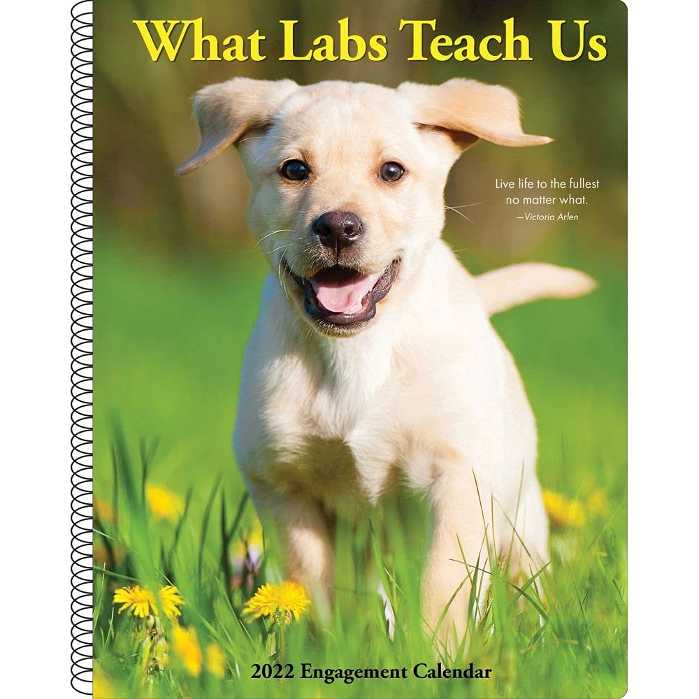 What Labs Teach Us 2022 Engagement Calendar Pets