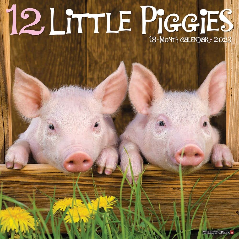 12 Little Piggies 2023 Wall Calendar Calendars