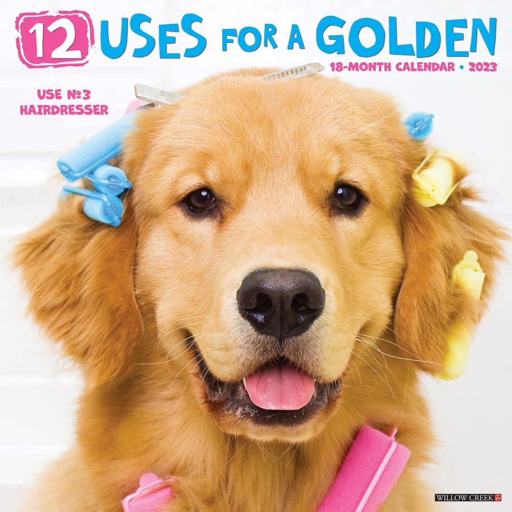 12 Uses for a Golden 2023 Wall Calendar Pets