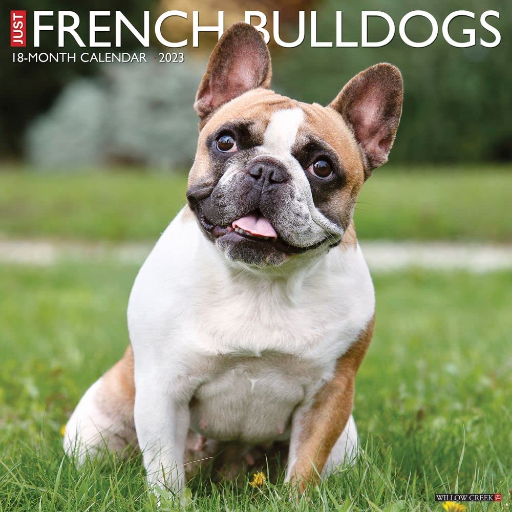 Just French Bulldogs 2023 Wall Calendar Photography