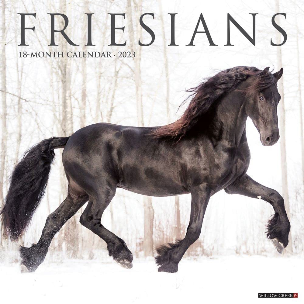 Friesians 2023 Wall Calendar Mathematics