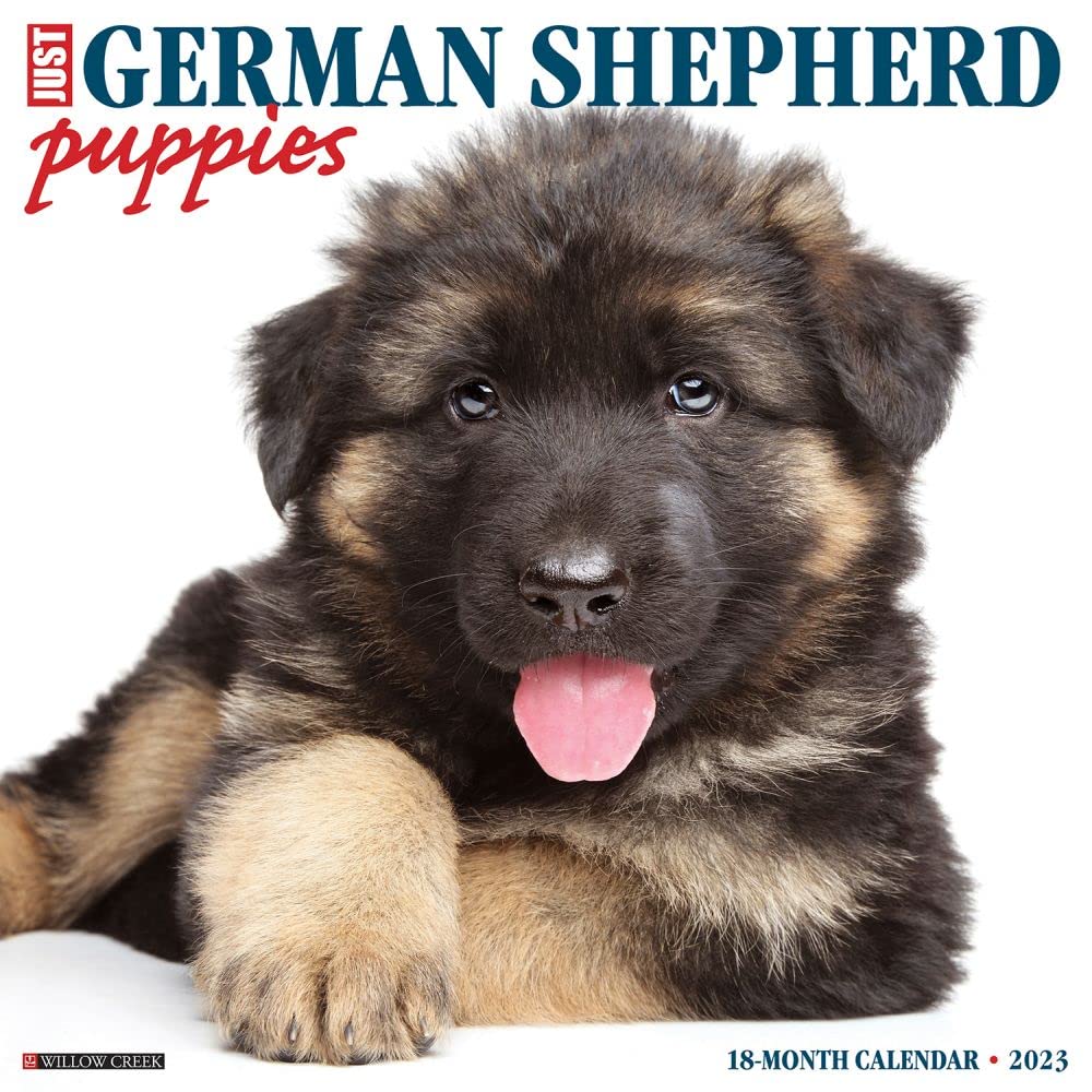 Just German Shepherd Puppies 2023 Wall Calendar Photography