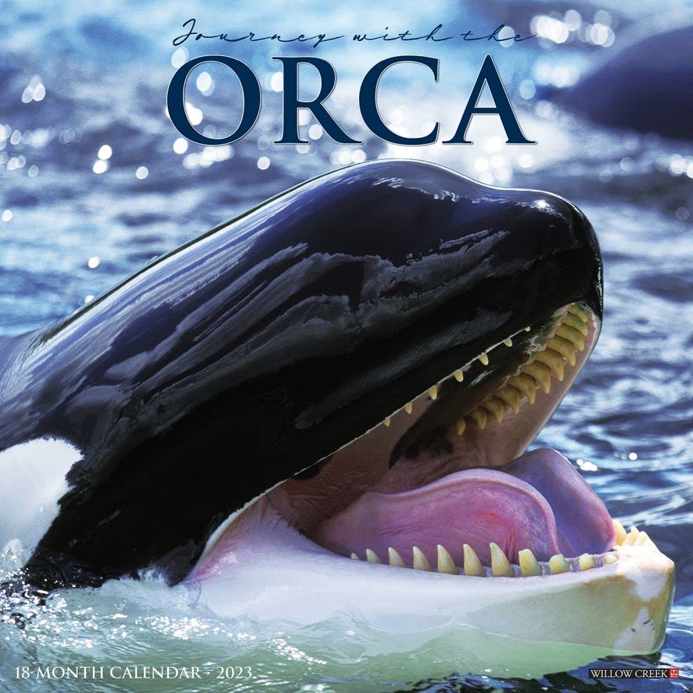 Willow Creek Press: ORCA (JOURNEY W/THE) 2023 WALL Mathematics