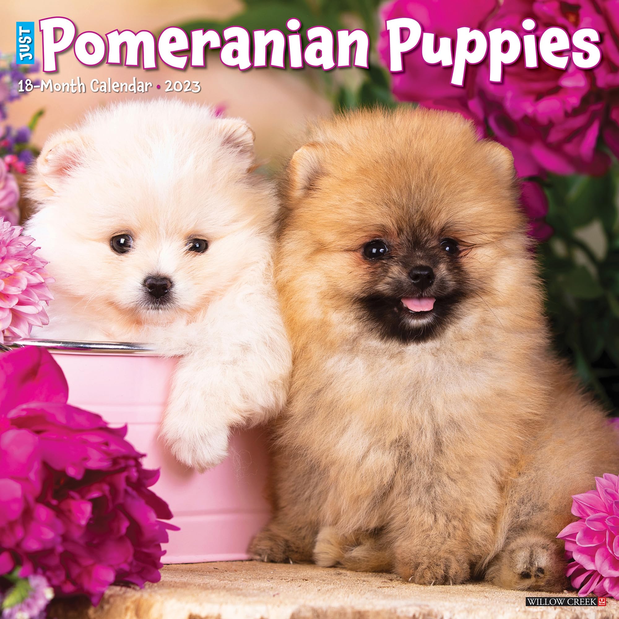 Just Pomeranian Puppies 2023 Wall Calendar Nature & Animals