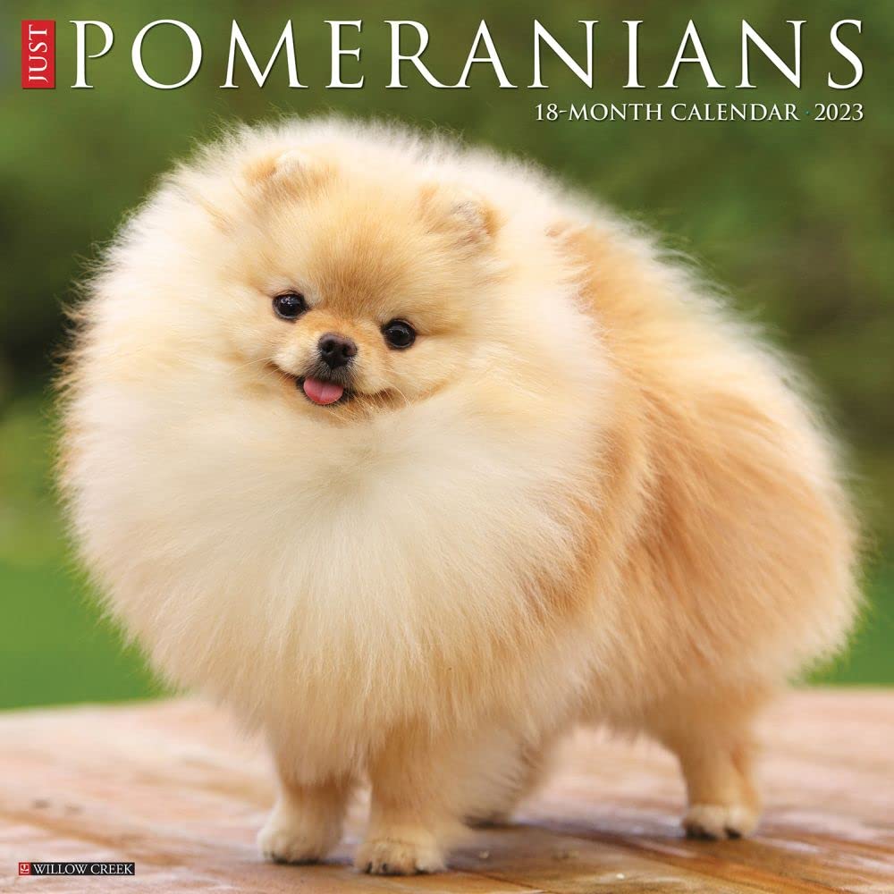 Just Pomeranians 2023 Wall Calendar Photography