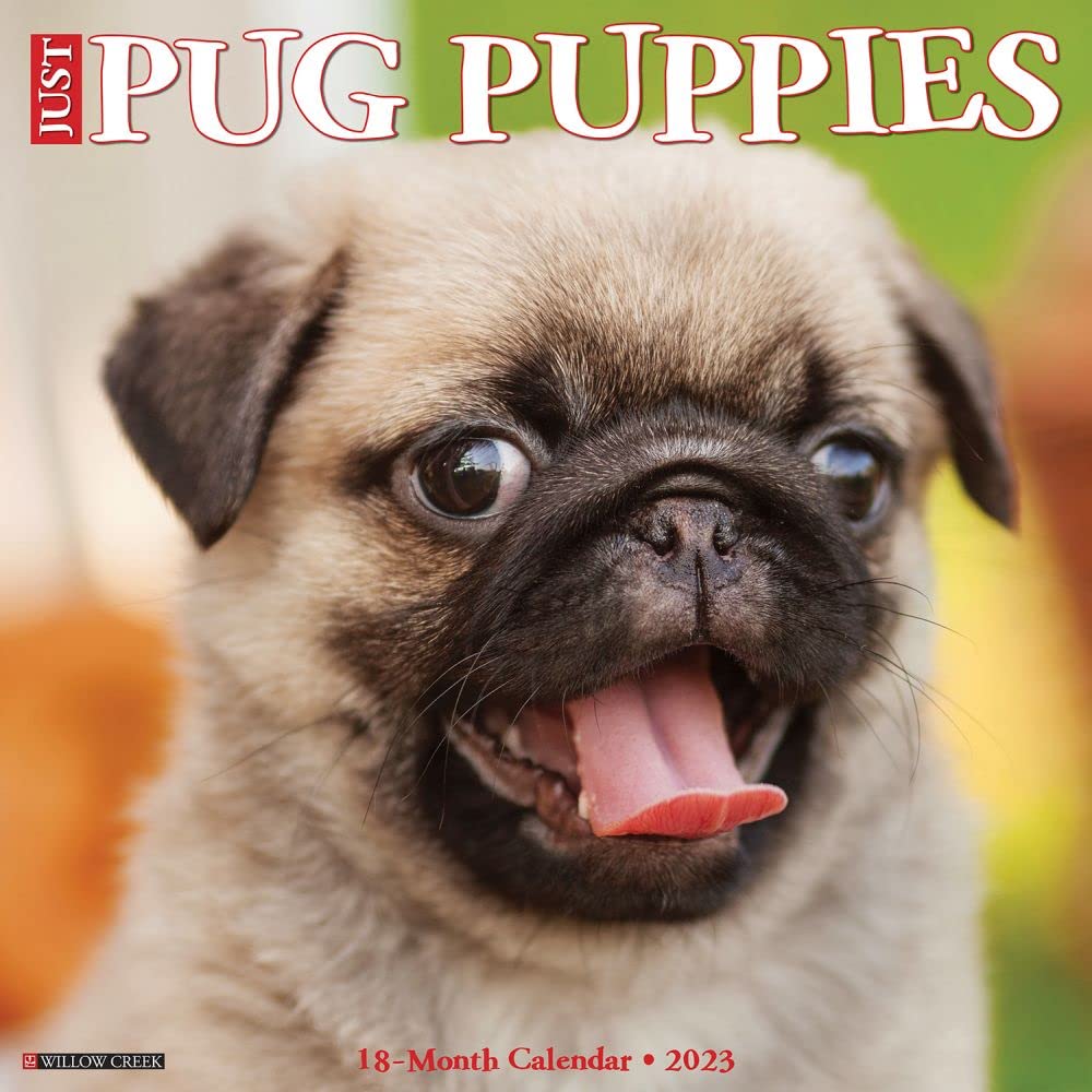 Just Pug Puppies 2023 Wall Calendar Nature & Animals