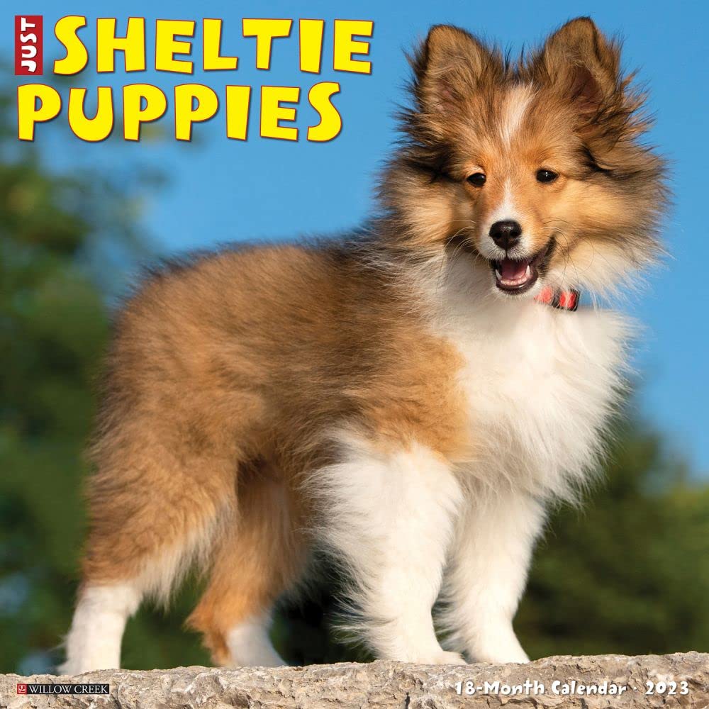 Just Sheltie Puppies 2023 Wall Calendar Nature & Animals