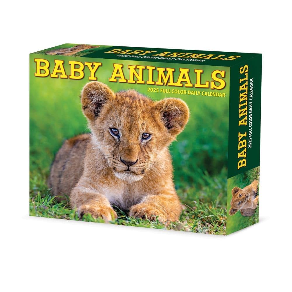 Baby Animals 2026 5.4 X 6.2 Box Calendar Pets