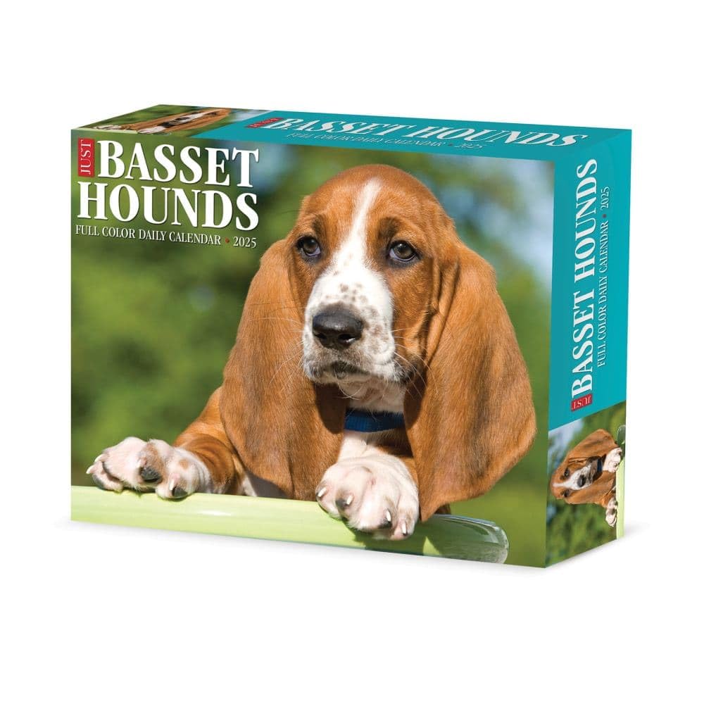 Basset Hounds 2025 6.2 X 5.4 Box Calendar Pets