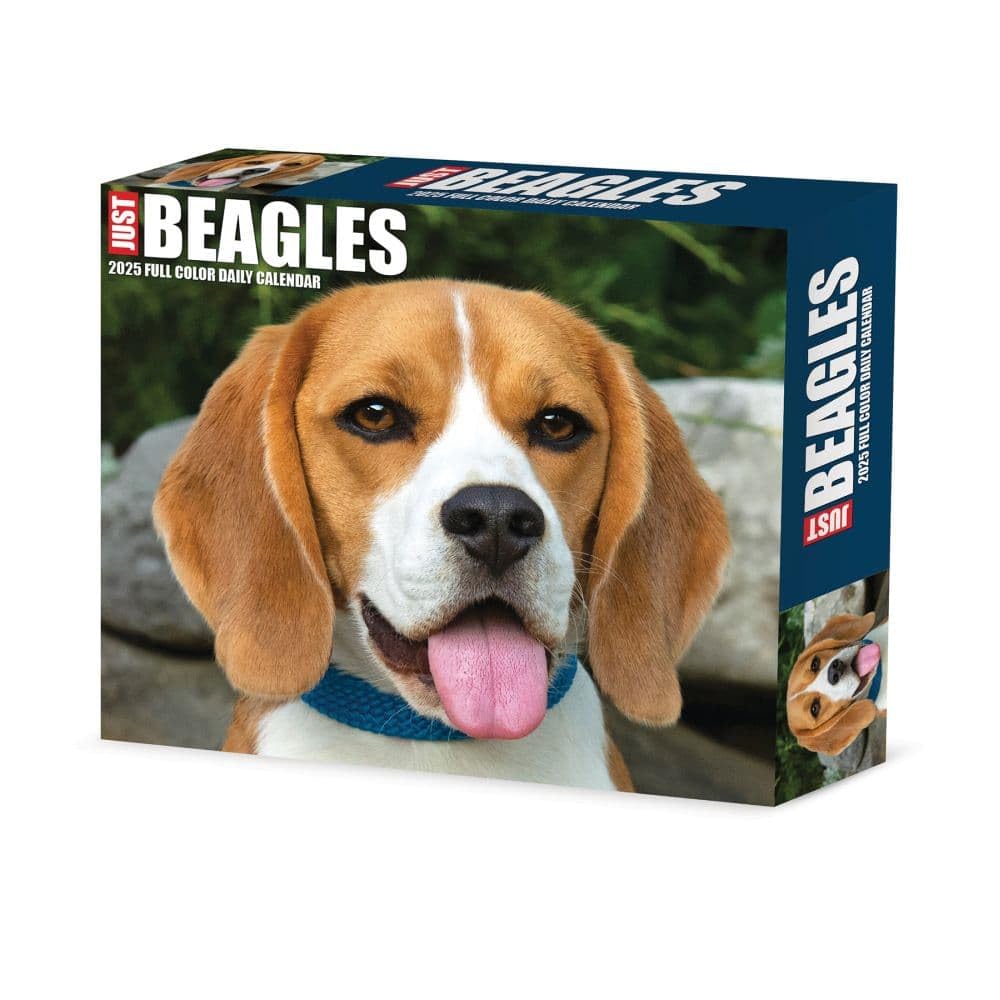 Beagles 2025 6.2 X 5.4 Box Calendar Pets