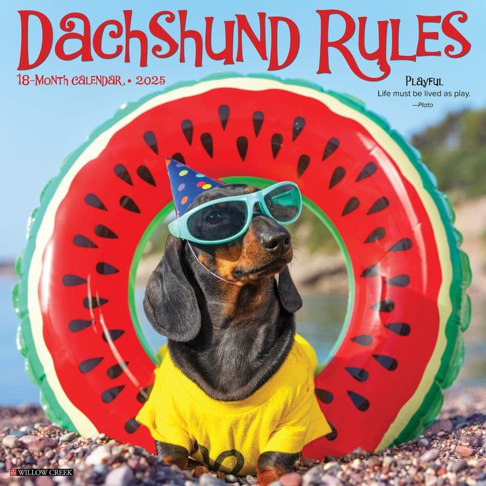 Dachshund Rules 2026 12 X 12 Wall Calendar Pets