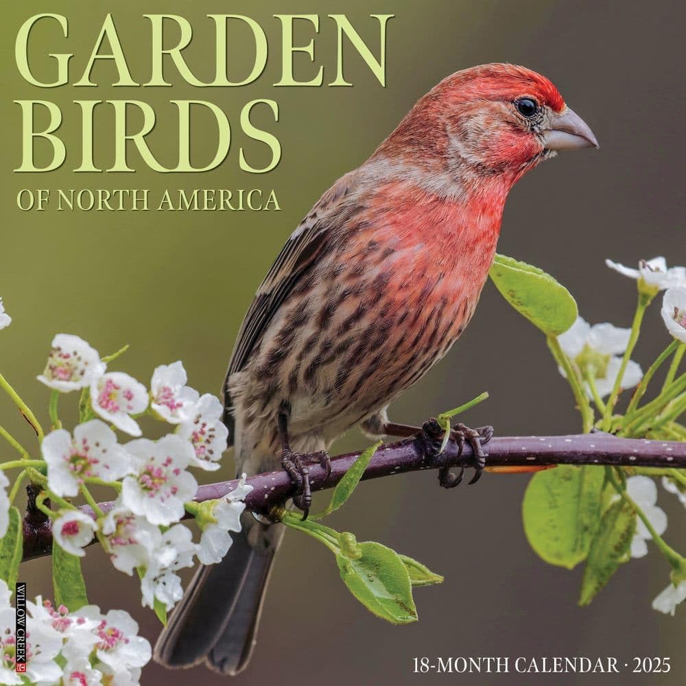 Garden Birds Wandkalender 2025, 30,5 x 30,5 cm Mathematics