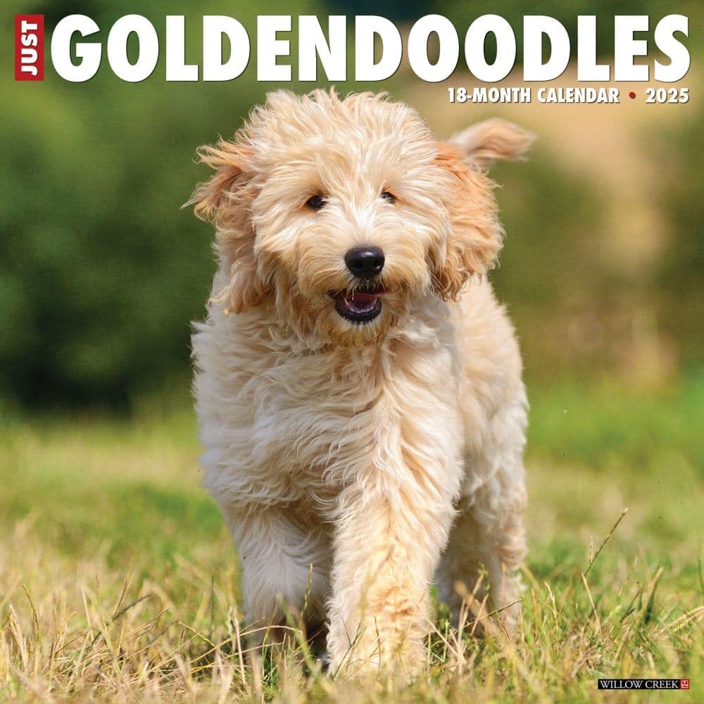 Goldendoodles 2026 12 X 12 Wall Calendar Pets