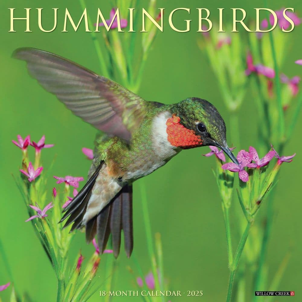 Hummingbirds 2026 12 X 12 Wall Calendar Mathematics