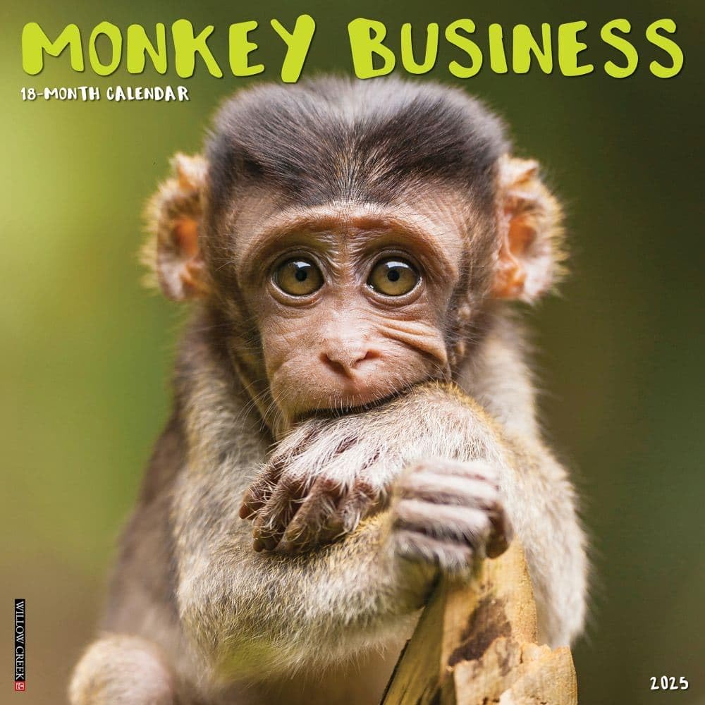 Monkey Business Wandkalender 2025, 30,5 x 30,5 cm Mathematics