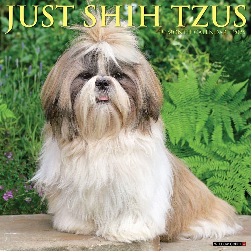 Just Shih Tzus 2025 12 X 12 Wall Calendar Pets