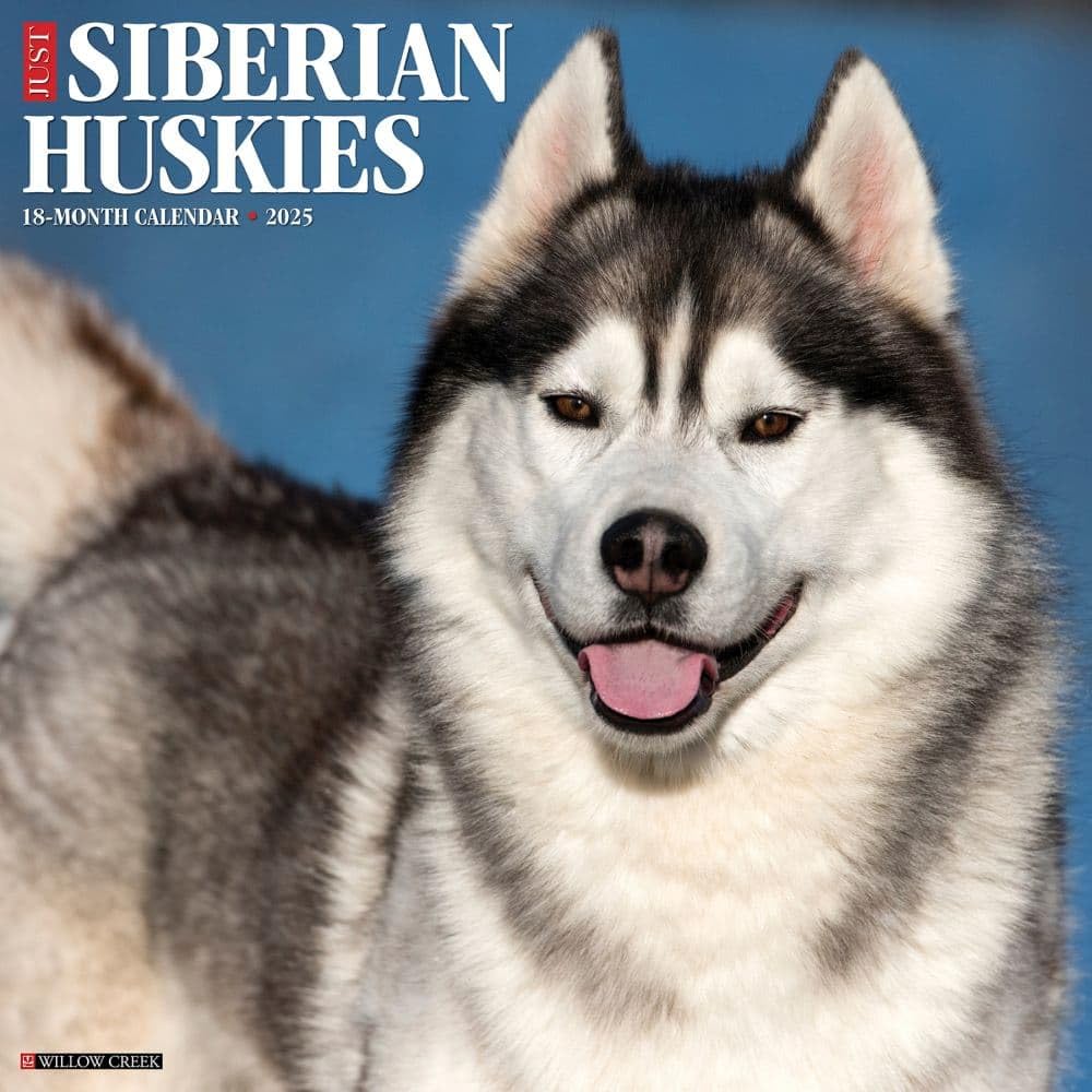 Siberian Huskies 2026 12 X 12 Wall Calendar Pets