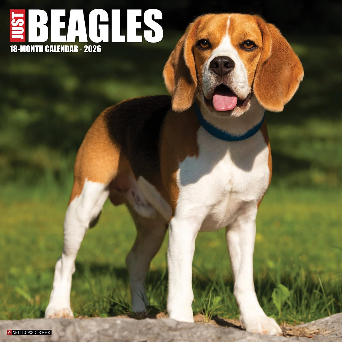 Beagles 2026 12 X 12 Wall Calendar Pets