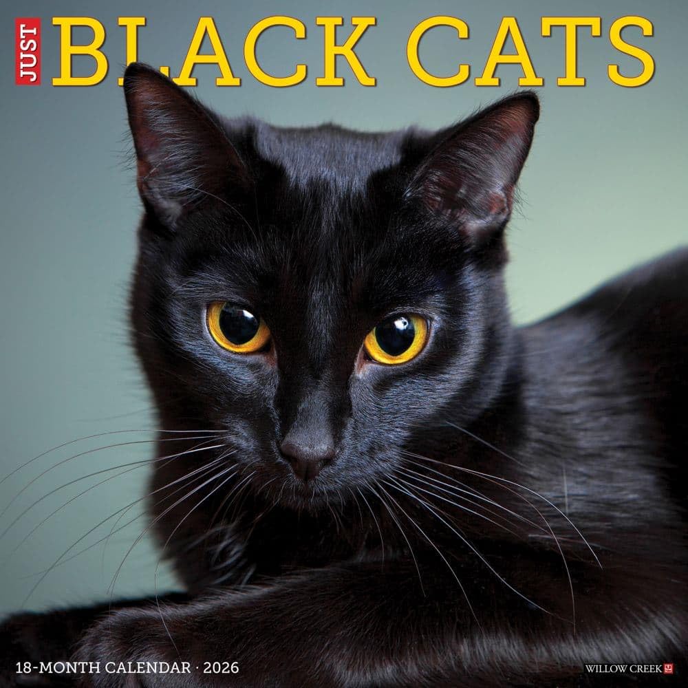 Black Cats 2026 12 X 12 Wall Calendar Pets