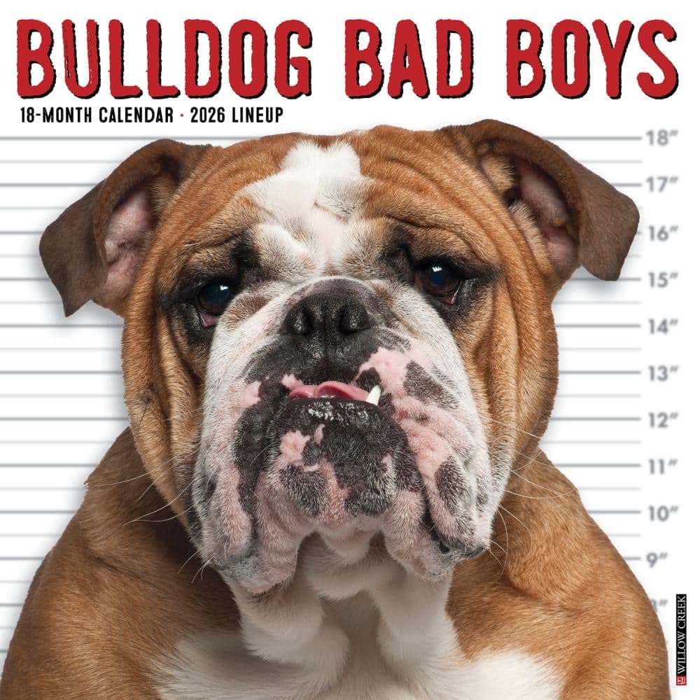 Bulldog Bad Boys 2026 12 X 12 Wall Calendar Pets