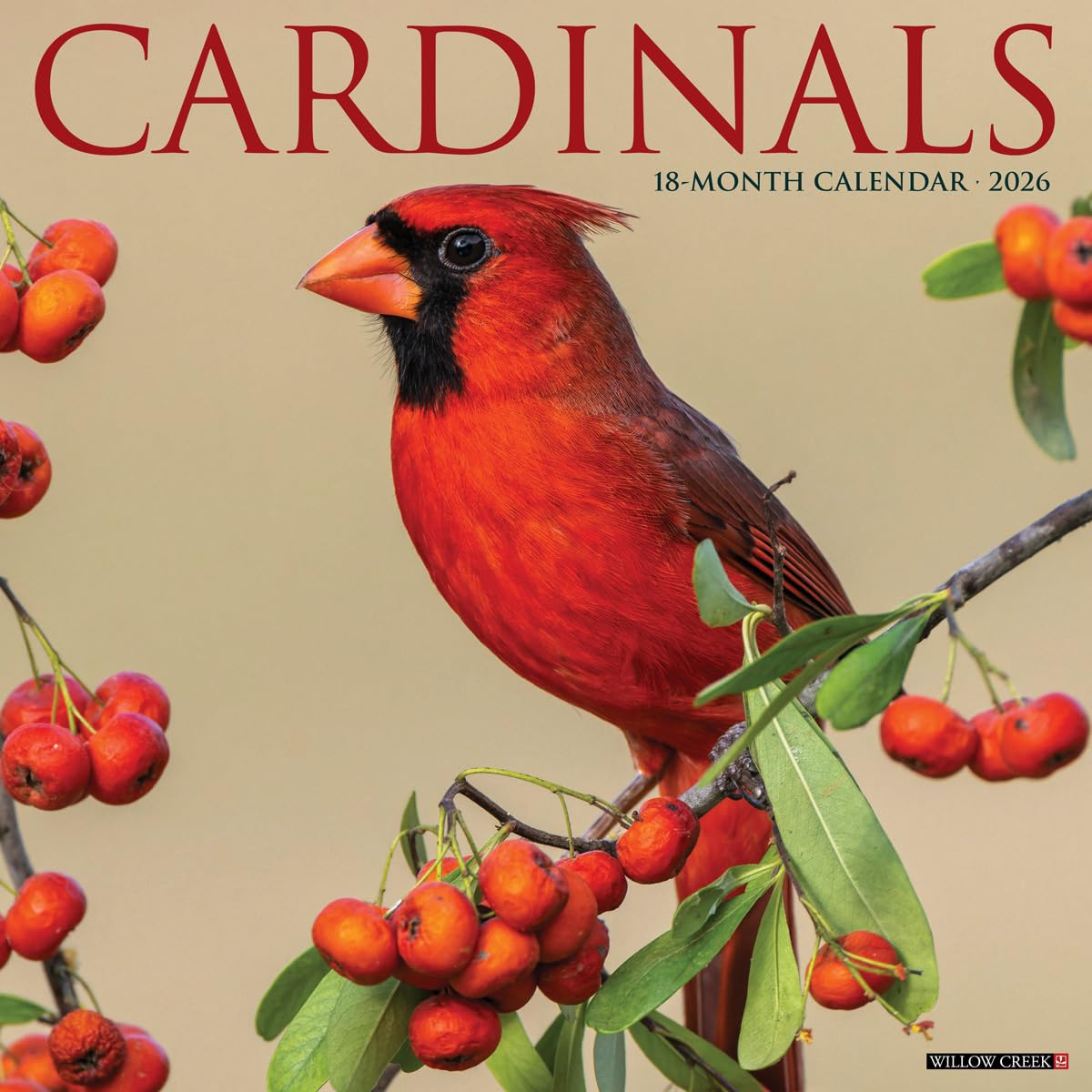 Cardinals 2026 12 X 12 Wall Calendar Mathematics