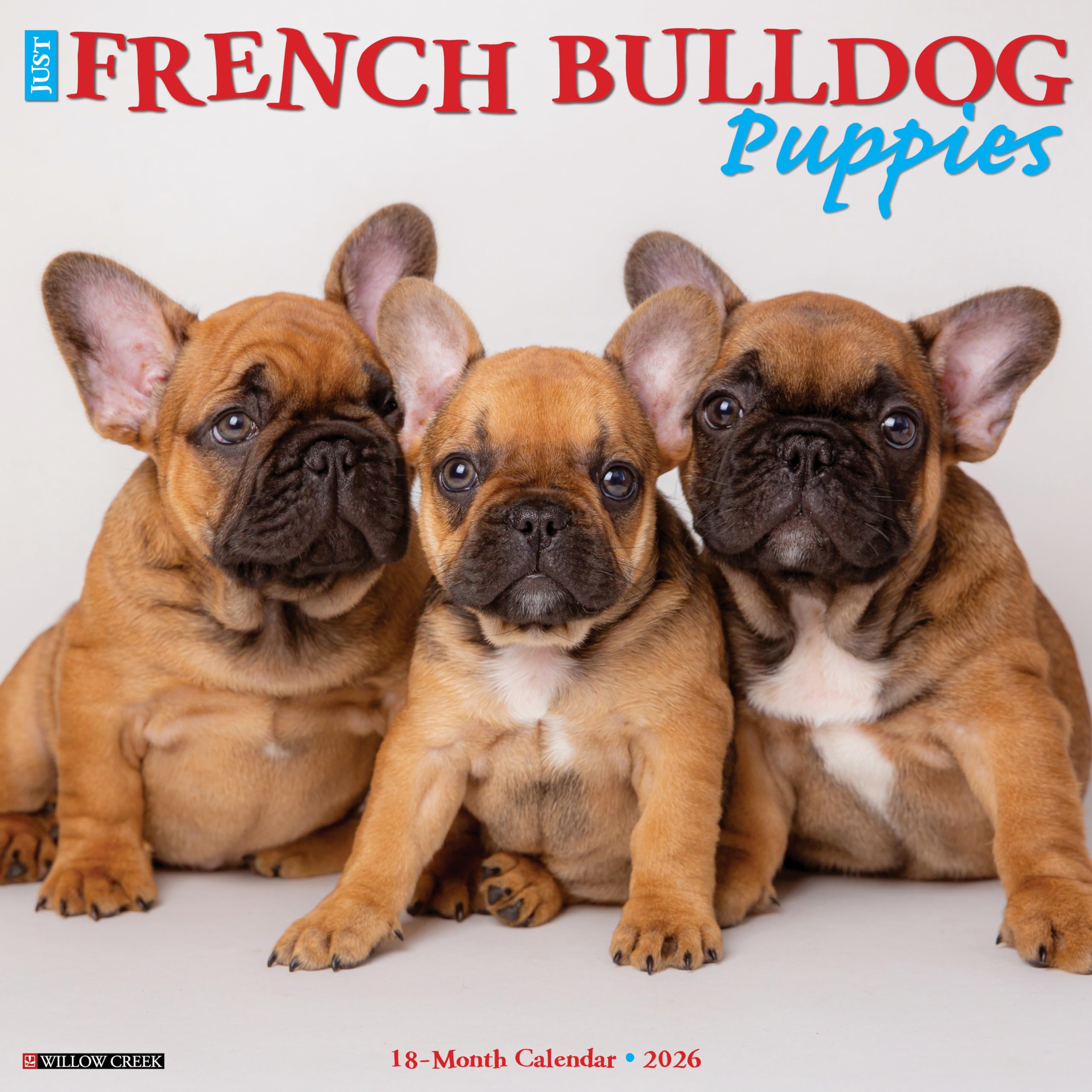 French Bulldog Puppies 2026 12 X 12 Wall Calendar Pets