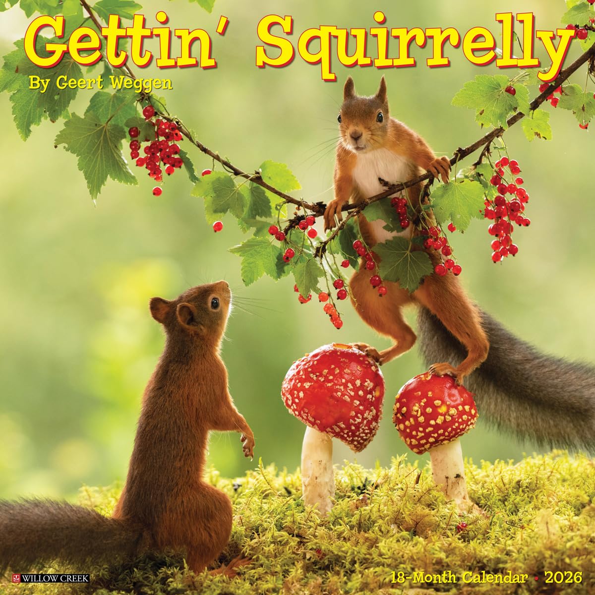 Gettin' Squirrelly 2026 12 X 12 Wall Calendar Leisure, Home & Garden