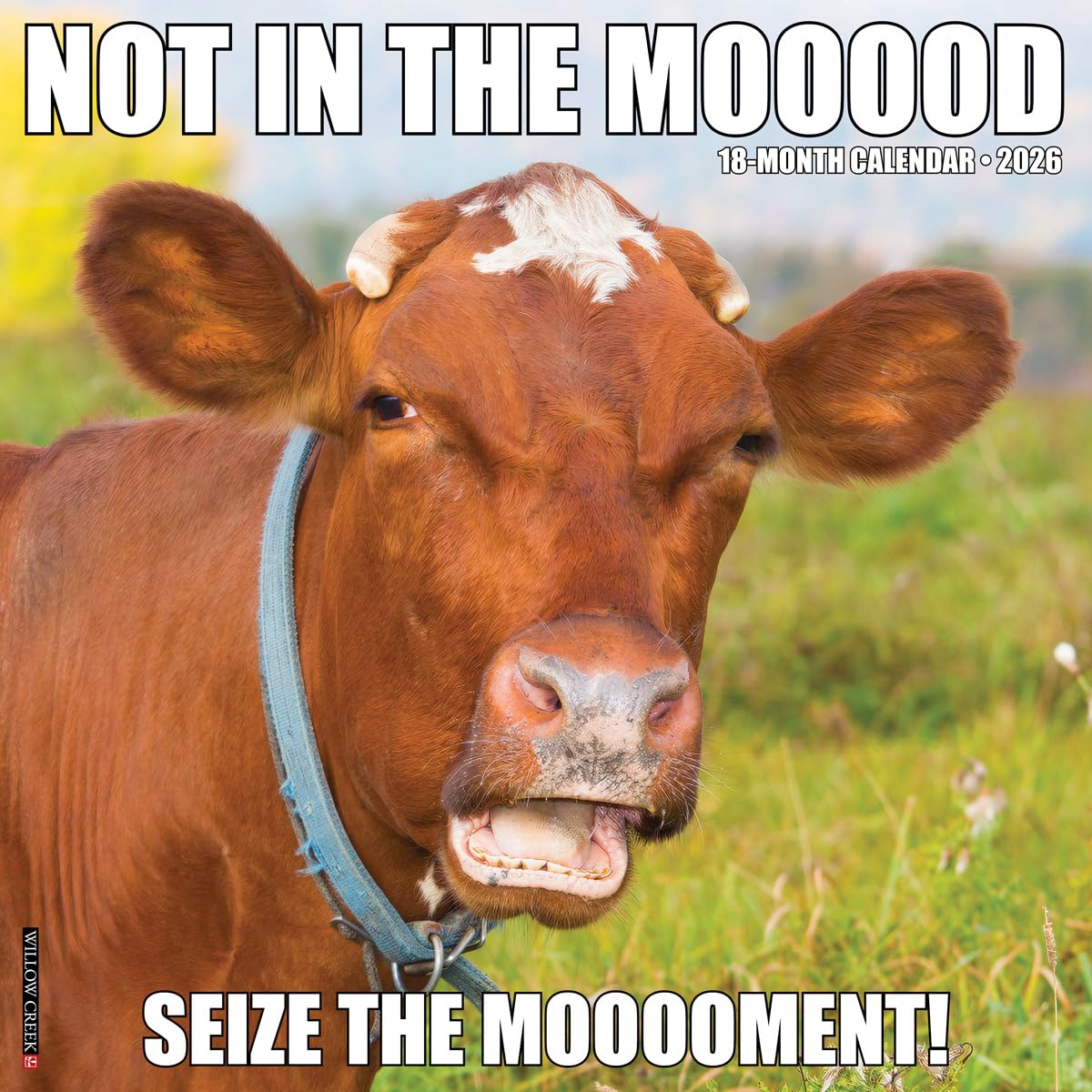 Not in the Mooood 2026 12 X 12 Wall Calendar Pets
