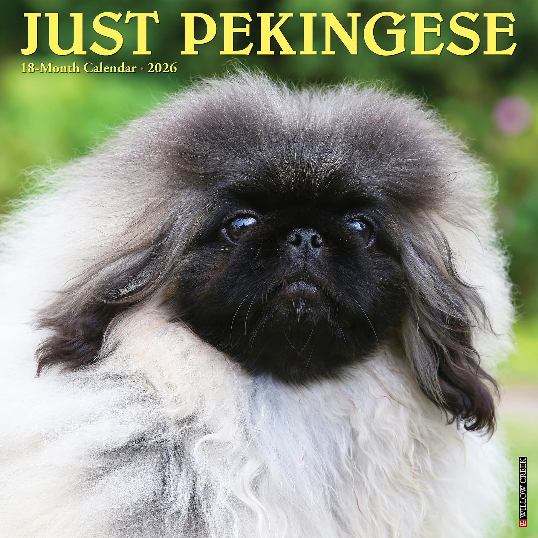 Pekingese 2026 12 X 12 Wall Calendar Pets